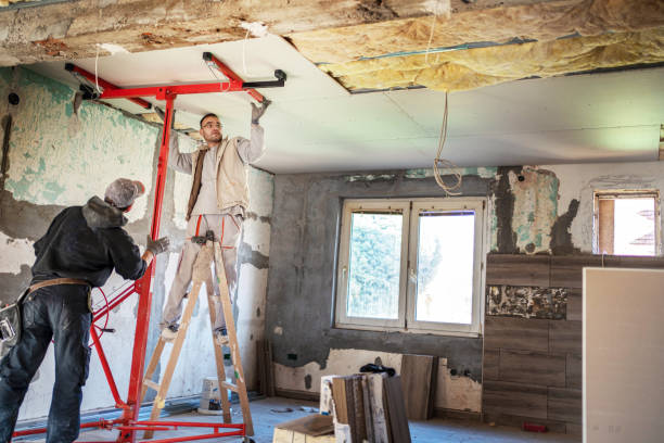 Best Insulation Installation Services in Graysville, AL
