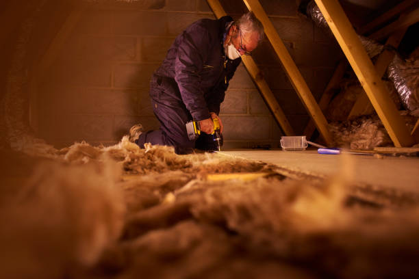 Best Commercial Insulation in Graysville, AL